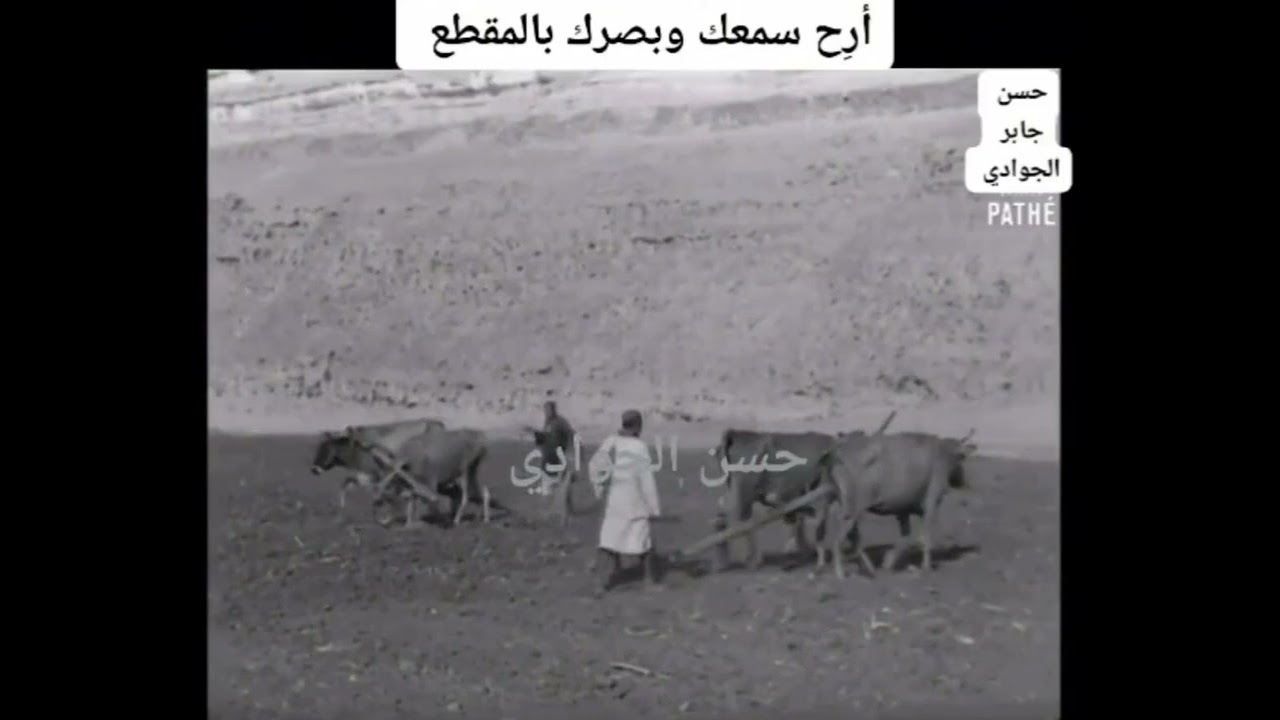 الشيخ منصور أحمد حري أرح بصرك وسمعك بهذا المقطع
