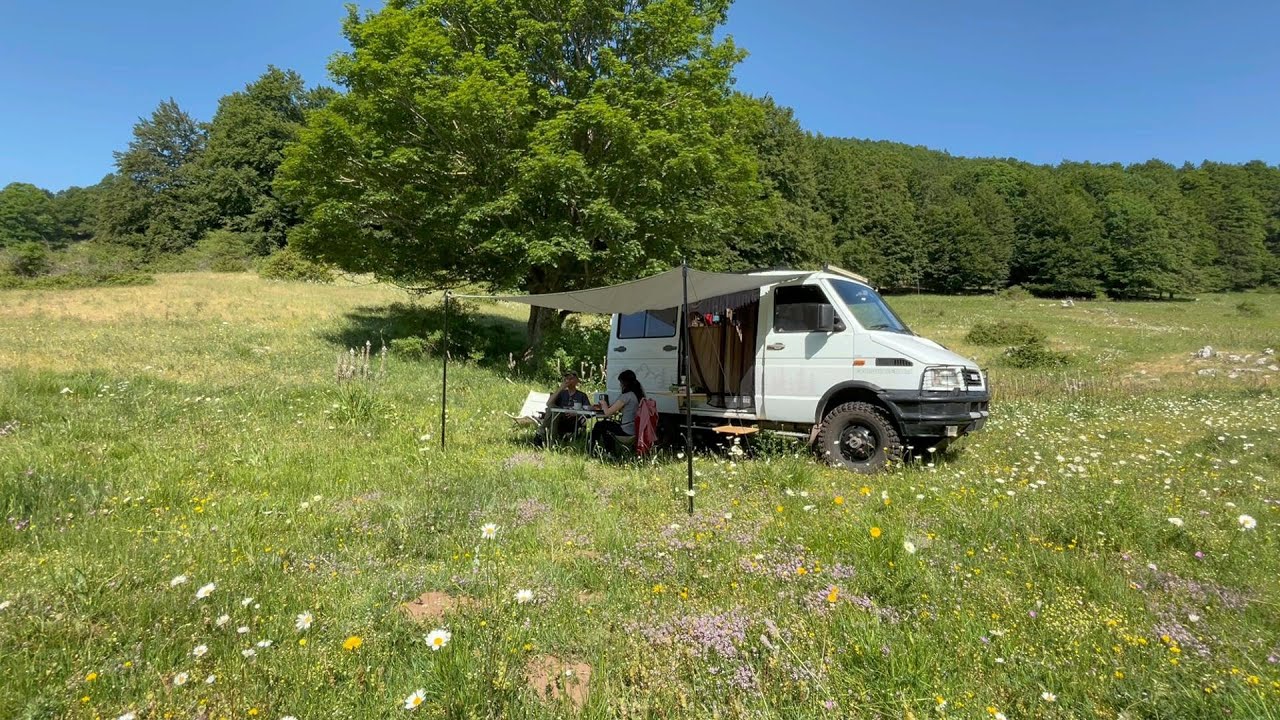 Кемпинг в зачарованной долине, полной цветов🌳🏕️