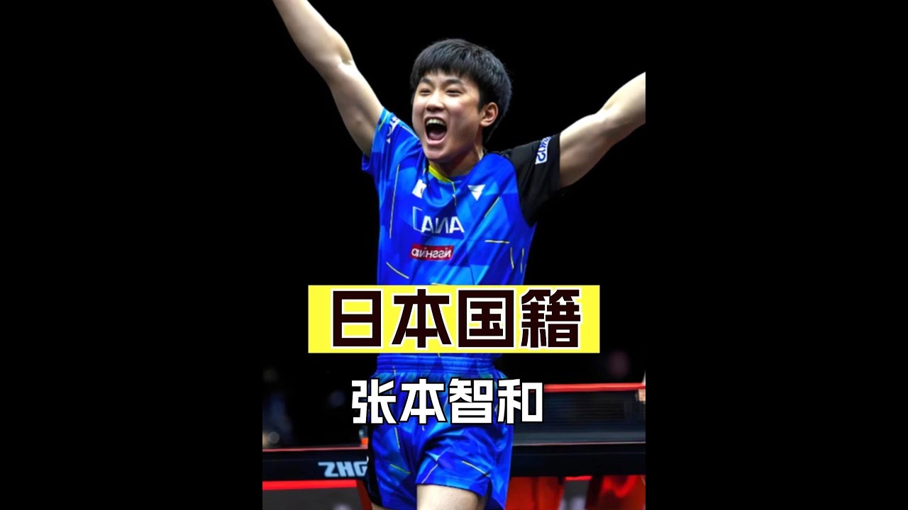 張本智和：血脈難改的四川少年為何放棄中國籍？ #張本智和