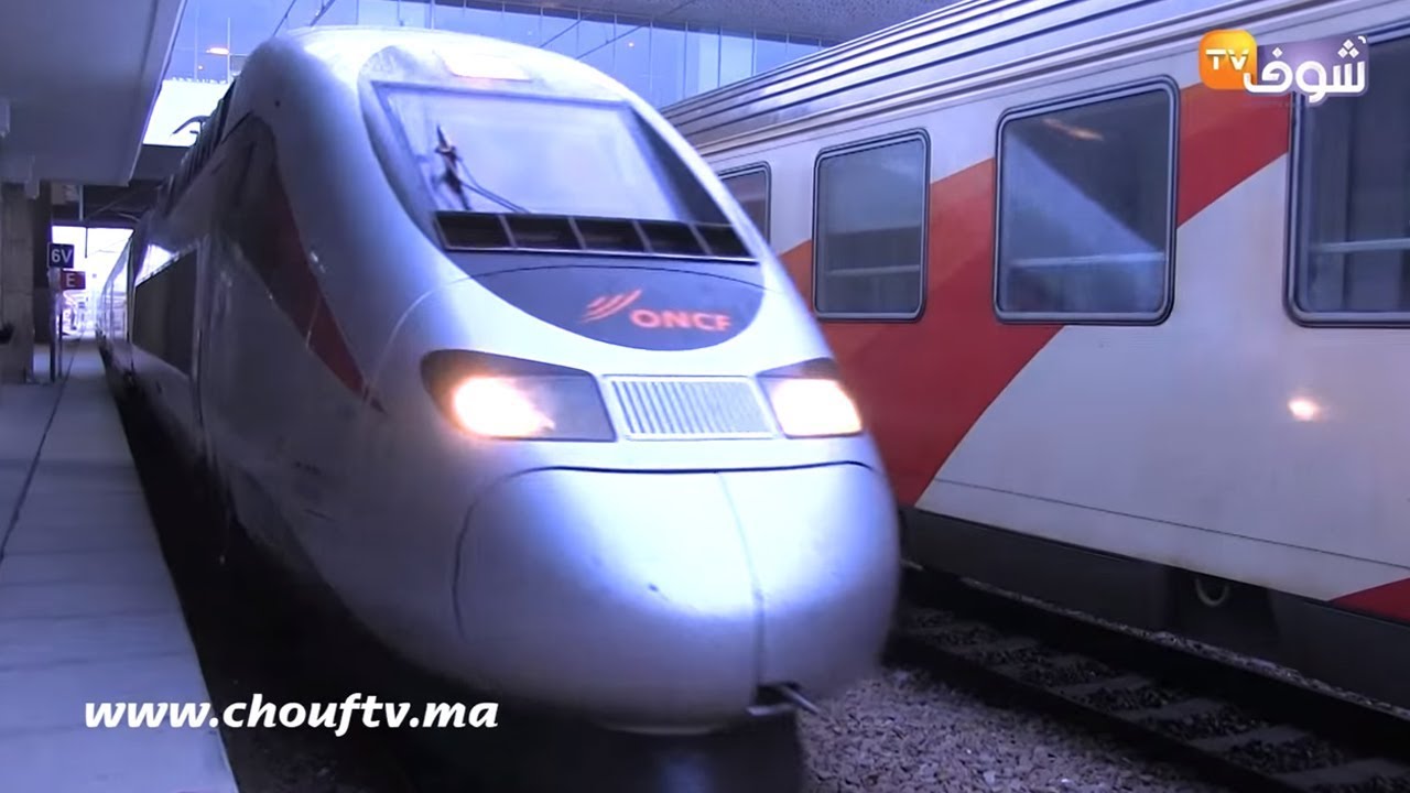 كل ما يجب معرفته عن القطار فائق السرعة 