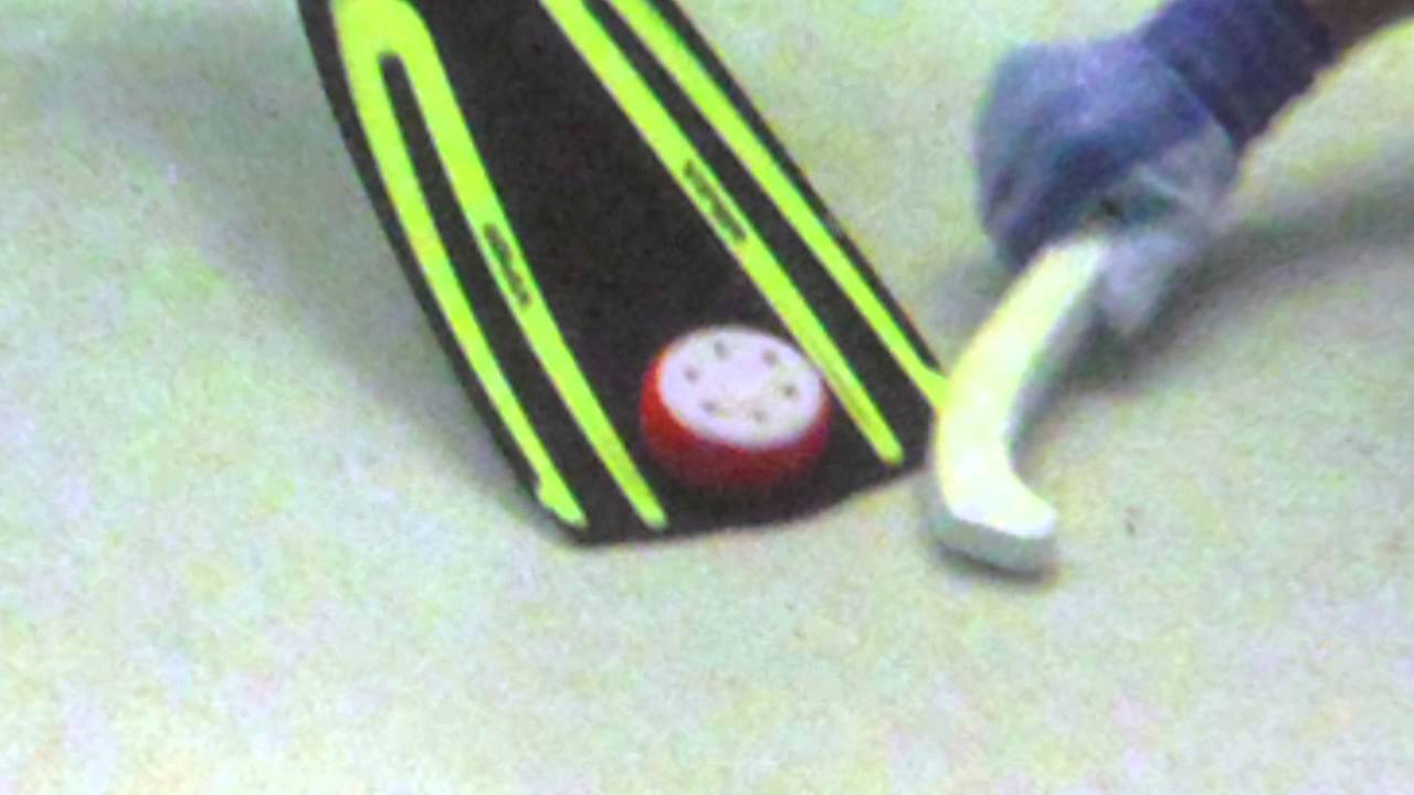 Underwater Hockey Fouls