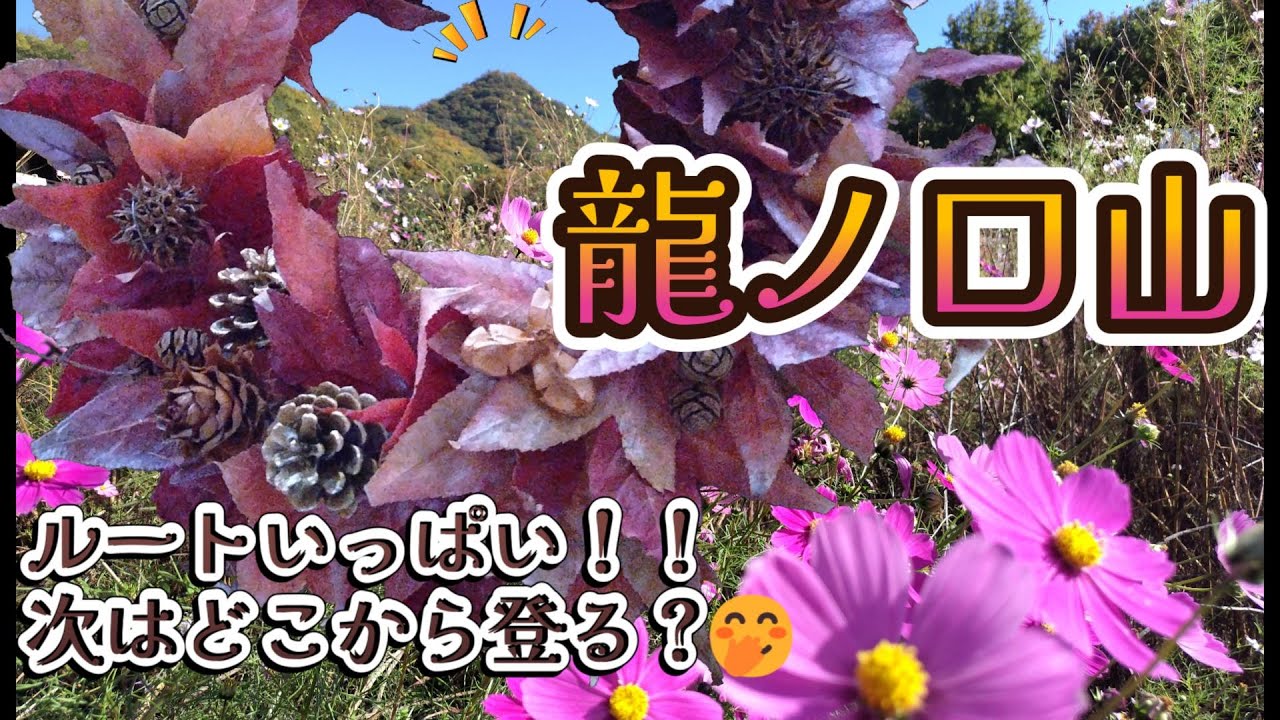 ▲龍ノ口山▲2025.11【岡山県】岡山市にある、標高256ｍの人気の里山です✨ハイキングコースからバリエーションルートまで、たくさんの登山コースがあります♪山頂も広くて眺望抜群です！！😆