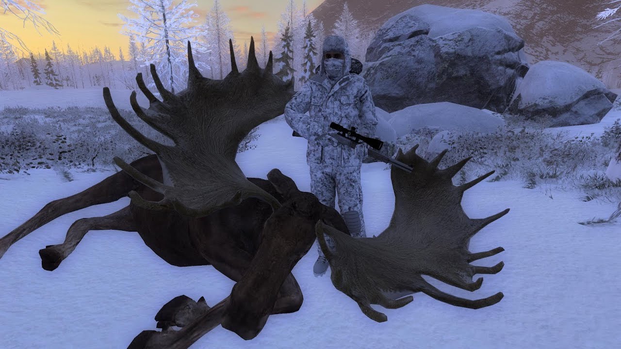 how to get big moose in the hunter classic (190+ killed)