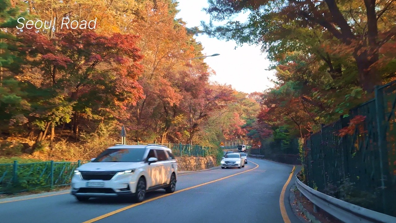 🍁Seoul Seongbuk Drive [도봉-성북-광화문] Lofi Jazz | 4K