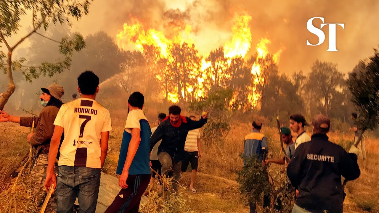 Climate change: Algerian villagers desperately fight wildfires