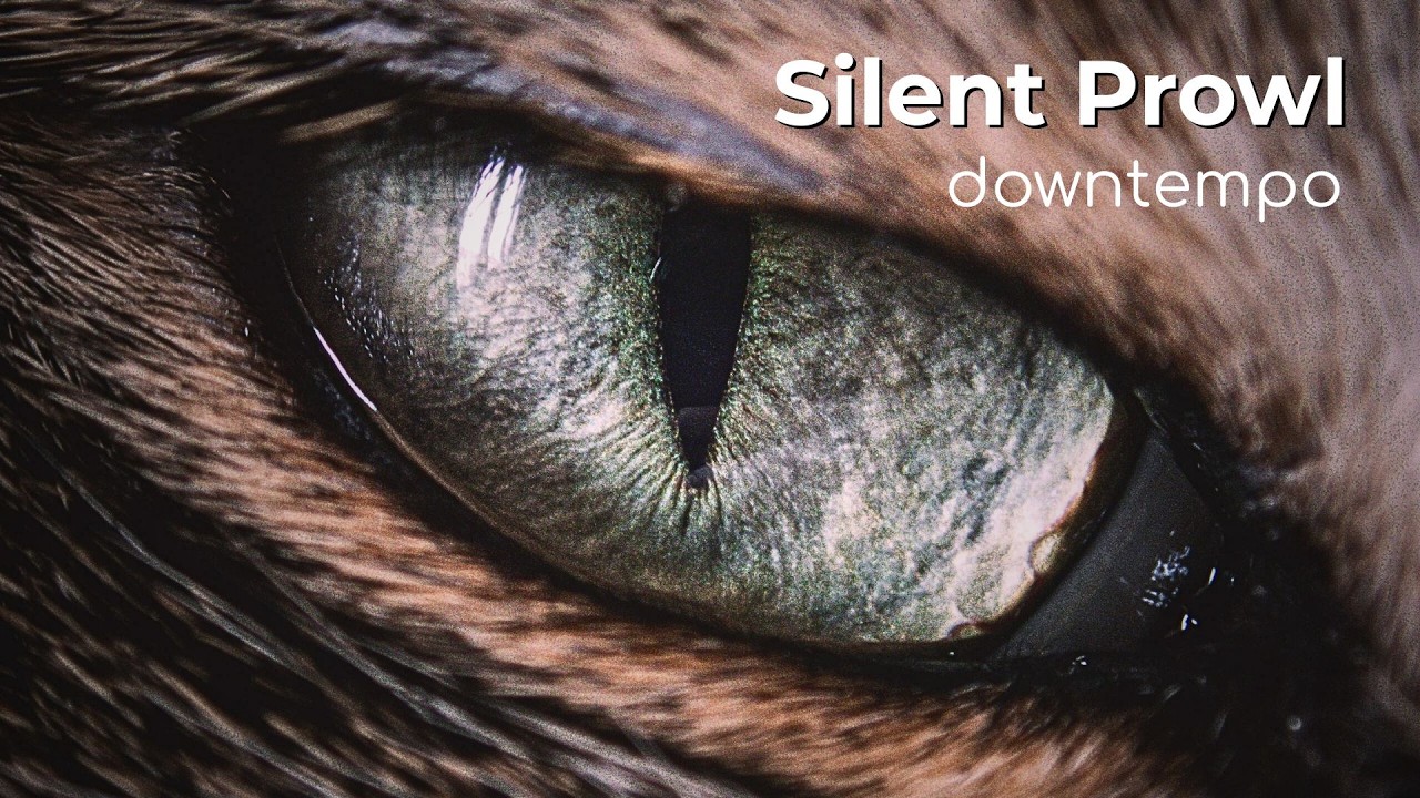Silent Prowl: Echoes of the Stream (Part 2) | Organic House • Deep Flow | Vitality