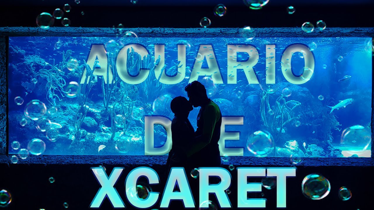 IMPRESIONANTE ACUARIO de XCARET| CANCUN| RIVIERA MAYA| CORALES| XCARET PARK