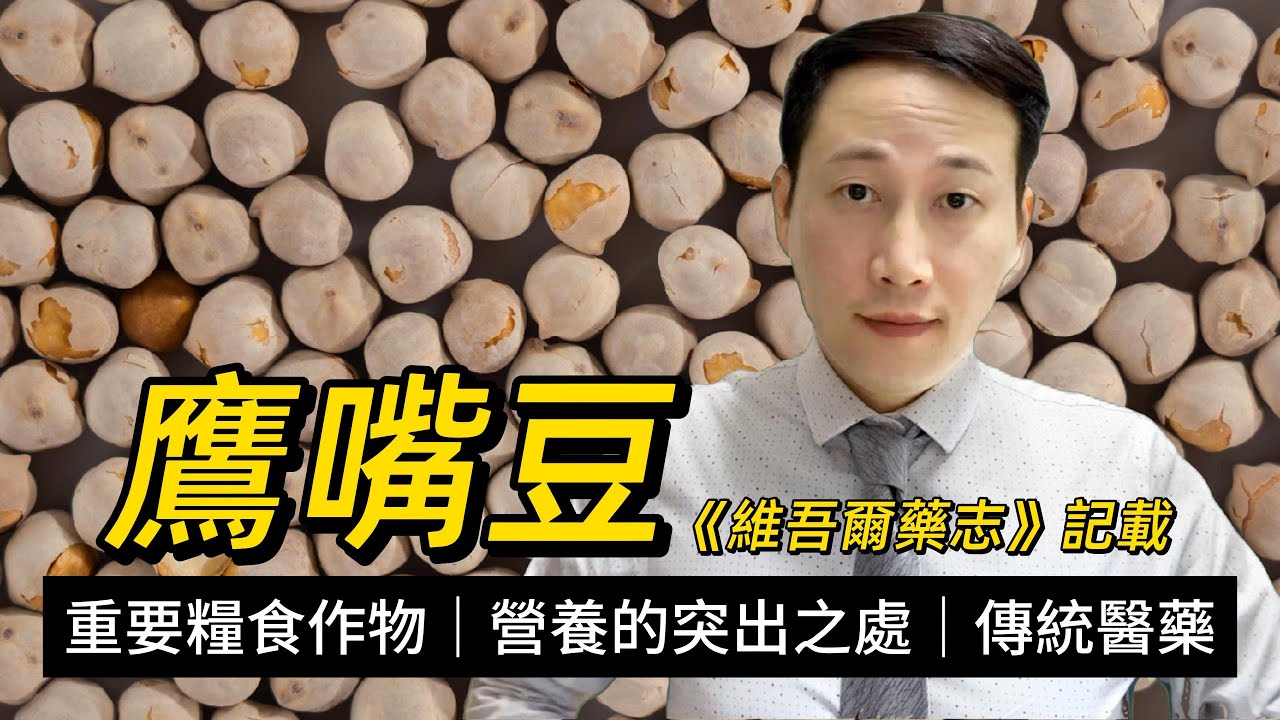 鷹嘴豆，營養價值的突出之處，維吾爾醫學中的常用藥材，糖尿病或痛風如何食用？食用注意事項的解析