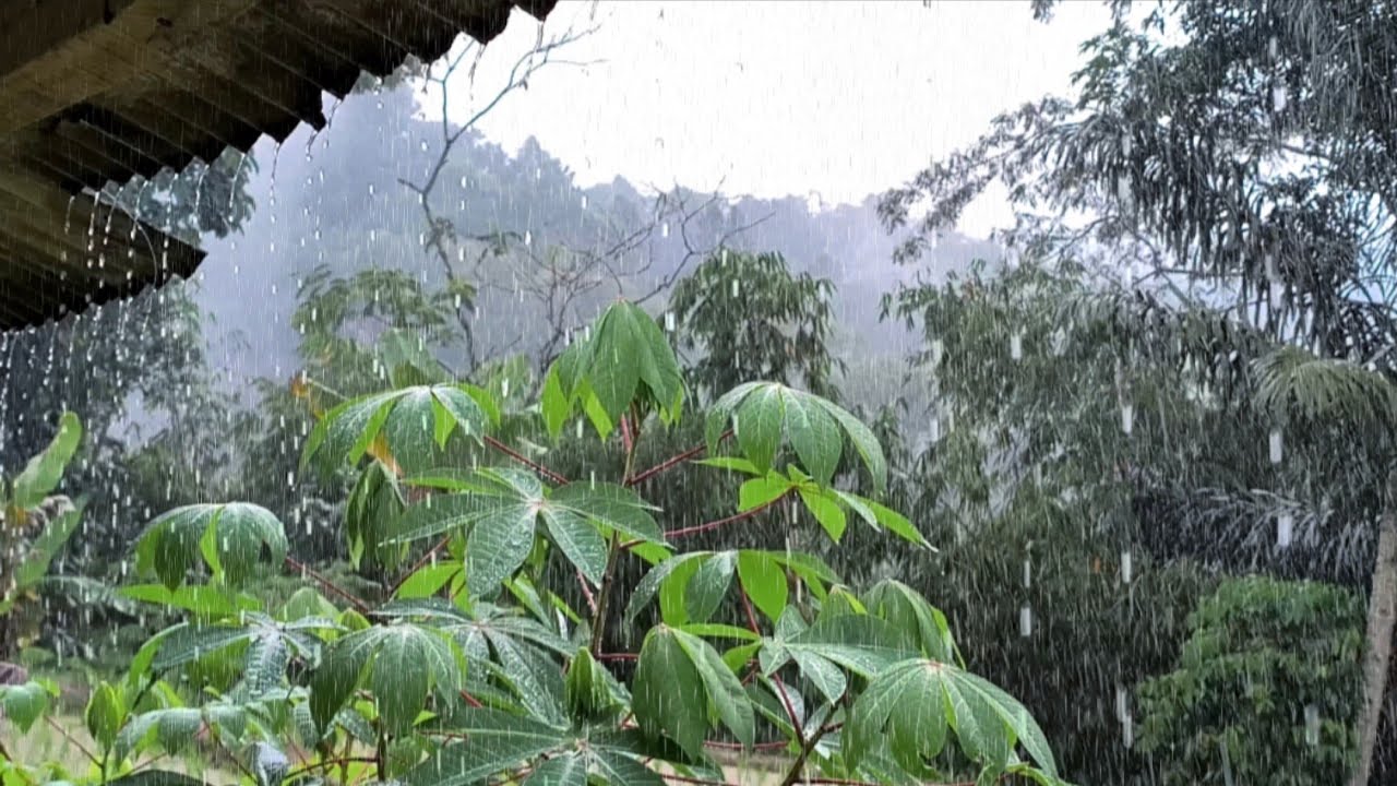 Не просто сильный дождь... Звуки, исцеляющие душу 💧 | ASMR Rain Therapy