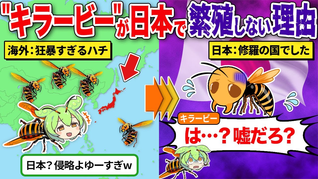 最強と言われている