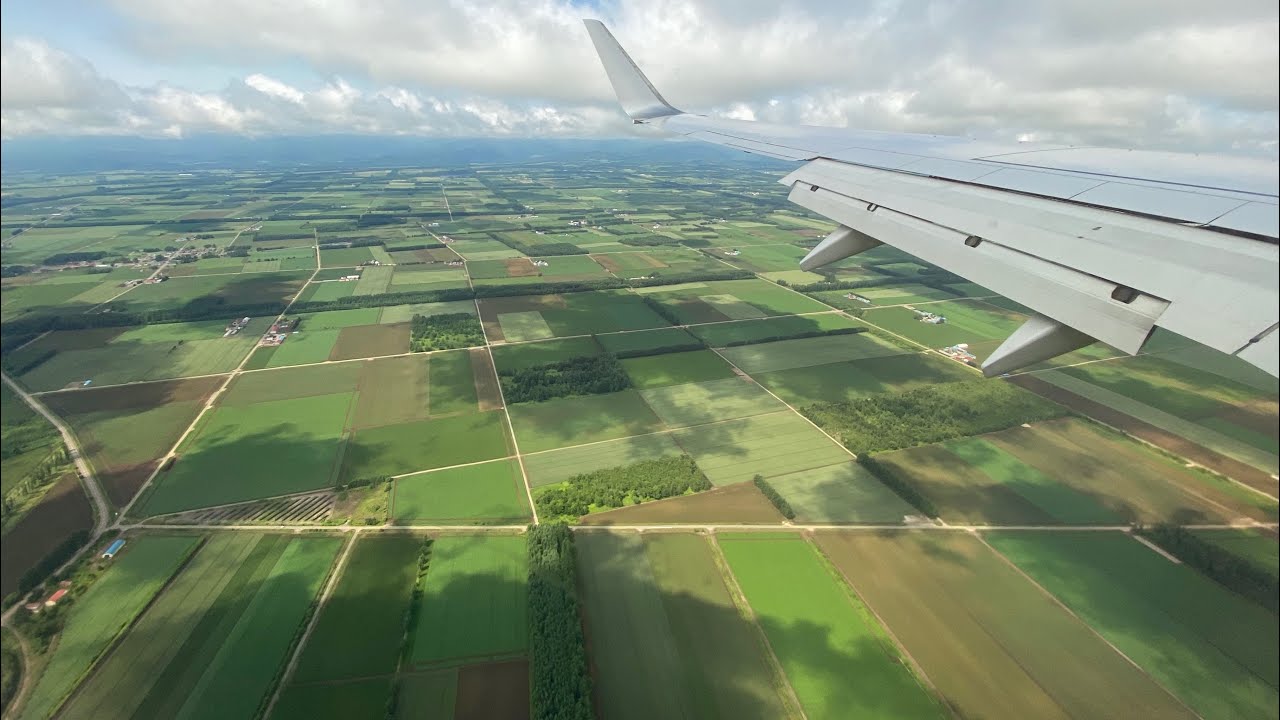 JAL573便 LANDING JA333J BOEING737-800 2020/07/03