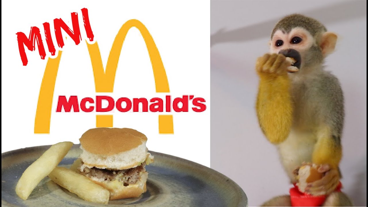 Baby Monkey oLLie DESTROYS Mini McDonalds Happy Meal (Tiny Food)