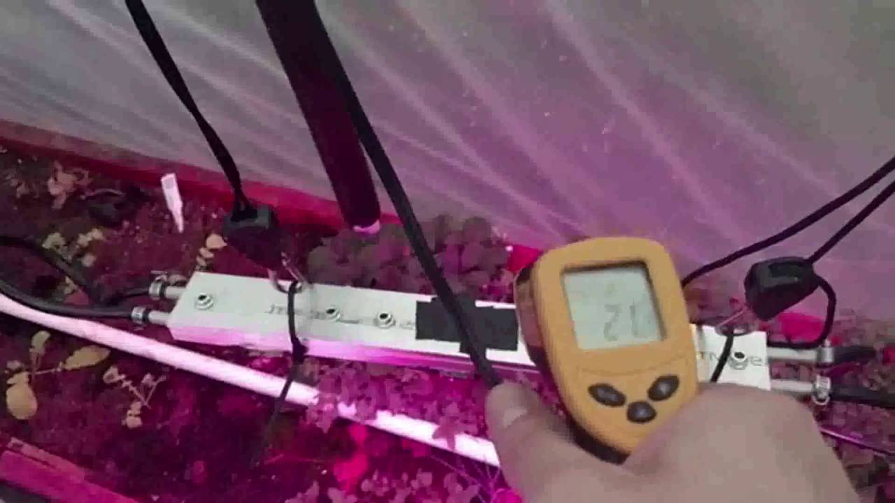 New water cooled LED strip