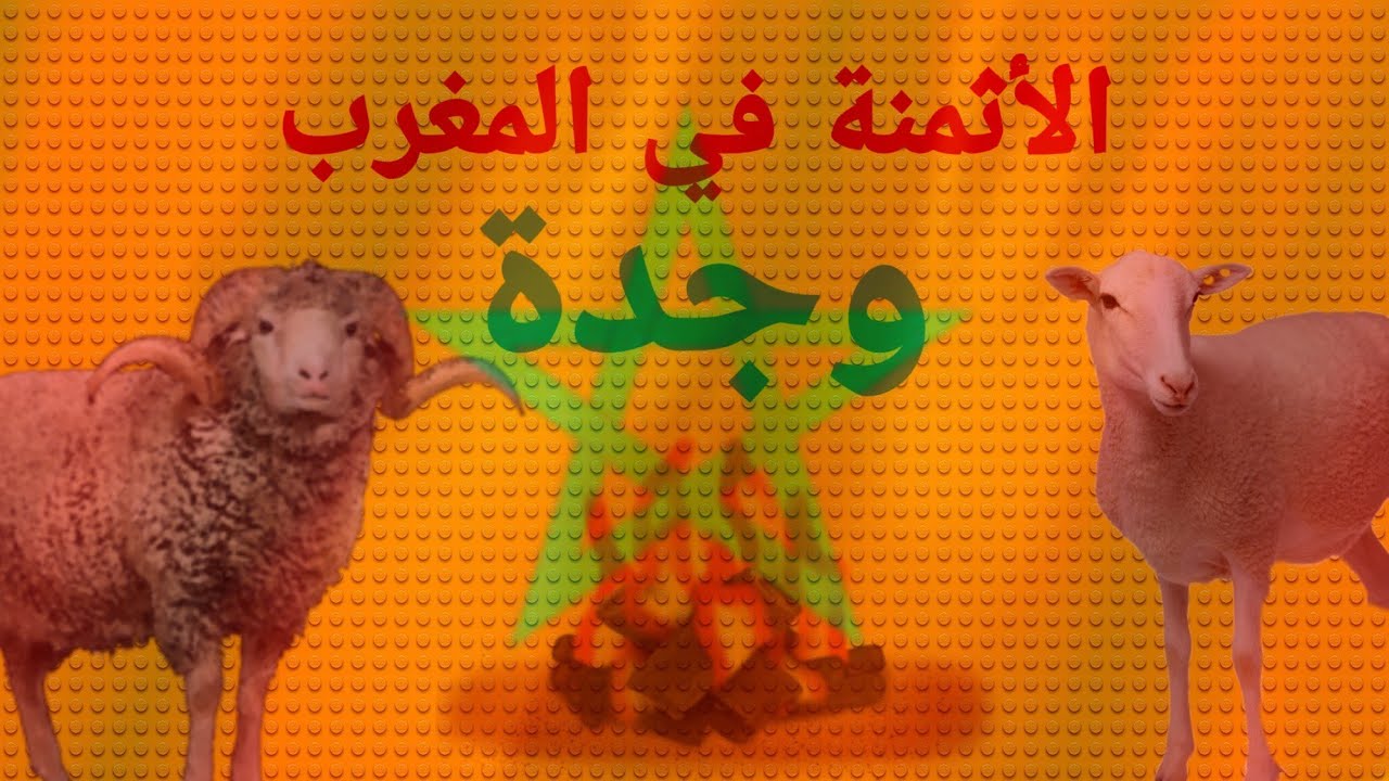 جولة في أسواق مدينة وجدة ومعرفت أسعار مستلزمات العيد 😱🐏