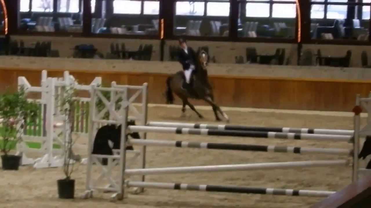 Paris du Driepikkel Z 120-125 cm