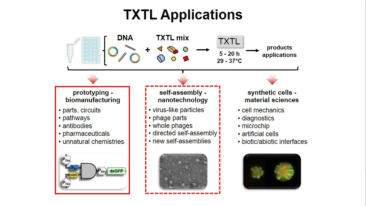 Characterization of CRISPR Technologies using TXTL and the Echo Liquid Handler