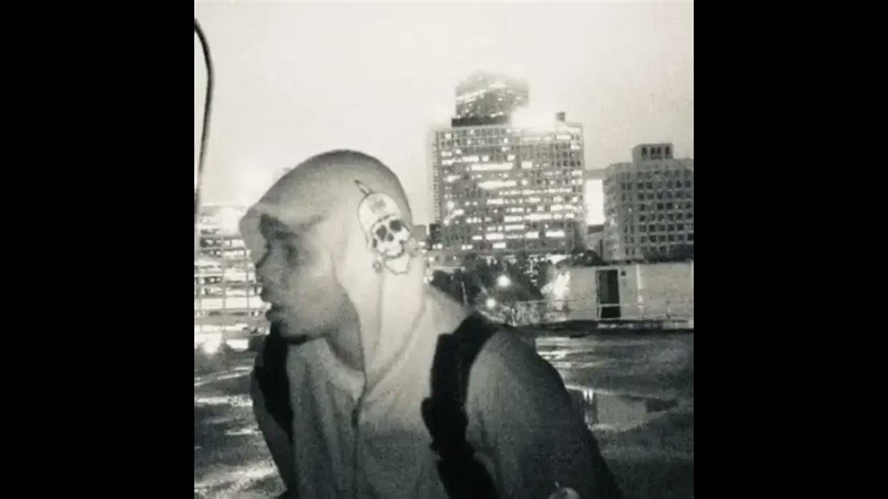 posting 2 beats a week FREE