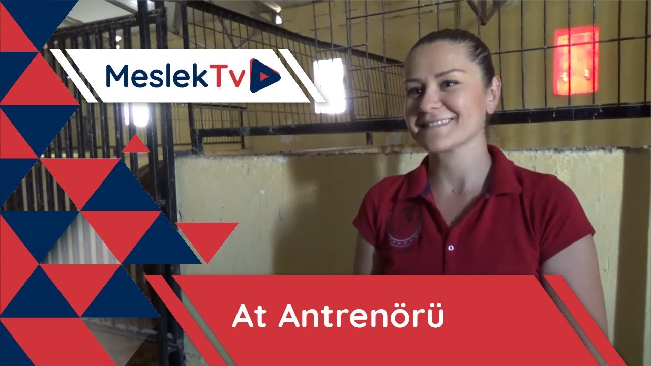 At Antrenörü