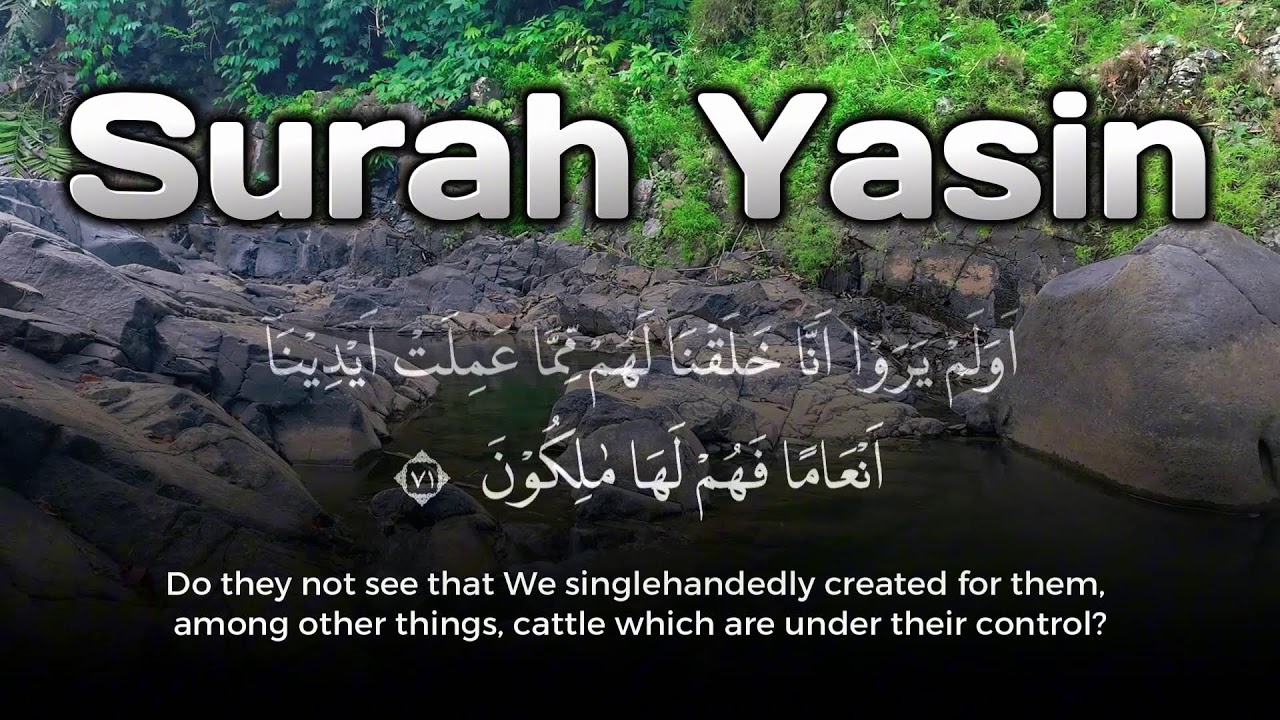Tranquil Quran for Blessings and Protection – Surah Yasin Tilawah