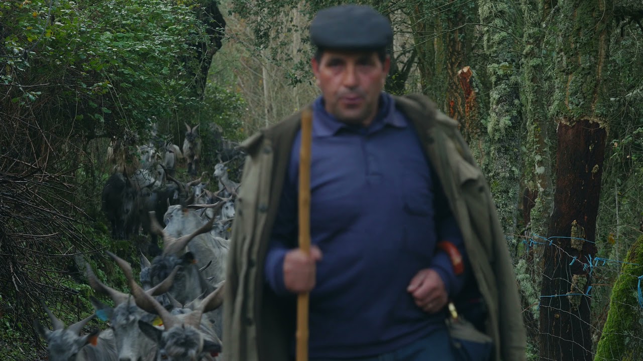 Cabra Serrana