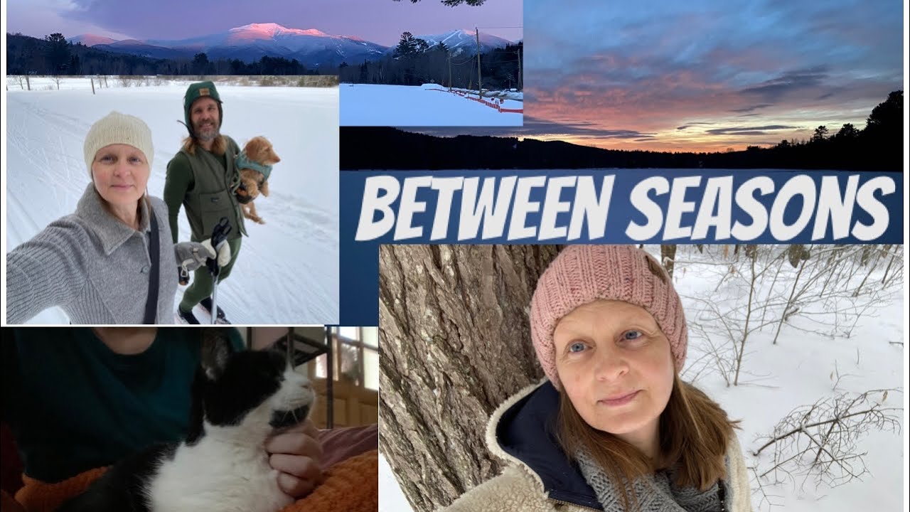 Slow Living in Winter | Forest Walk Reflections & Preparing for Spring