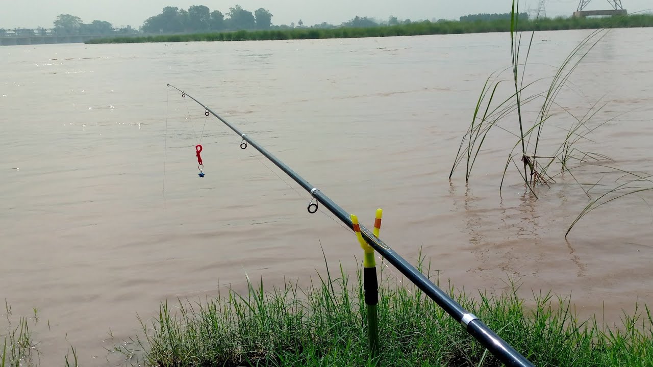 Fishing In Head Balloki #summerfishing #fishing #fishinglife