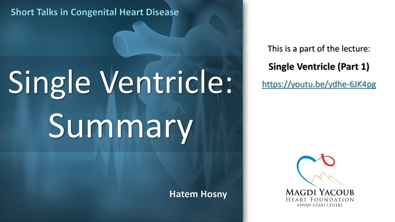 Single Ventricle: Summary - Hatem Hosny