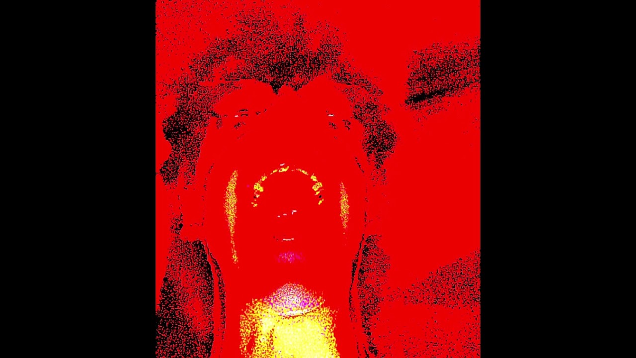 Filth Pigs 