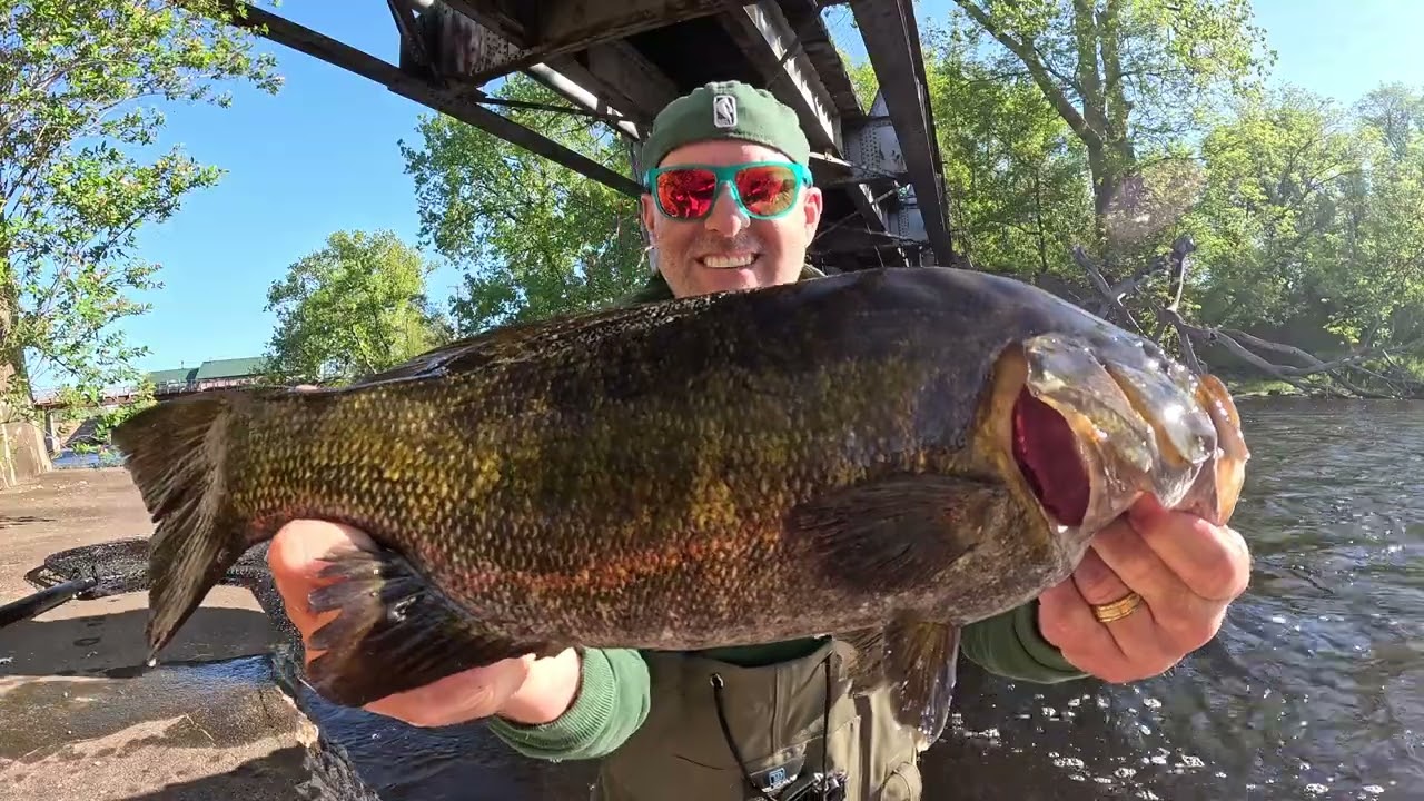 Catching HUGE Lake Runners - Quest Ep. 1: Smallmouth Bass (Micropterus dolomieu)