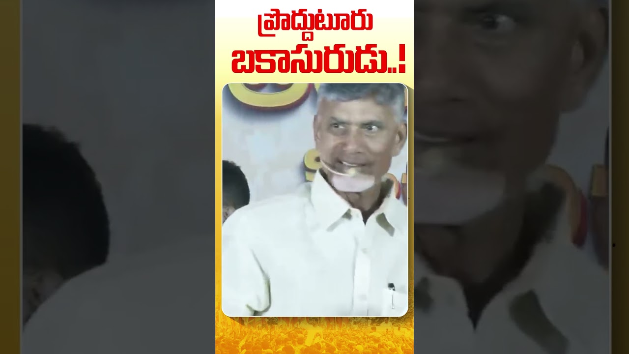 ప్రొద్దుటూరు బకాసురుడు..! | Chandrababu Fires On Proddatur MLA | #NaagellaNarakam #pyschojagan