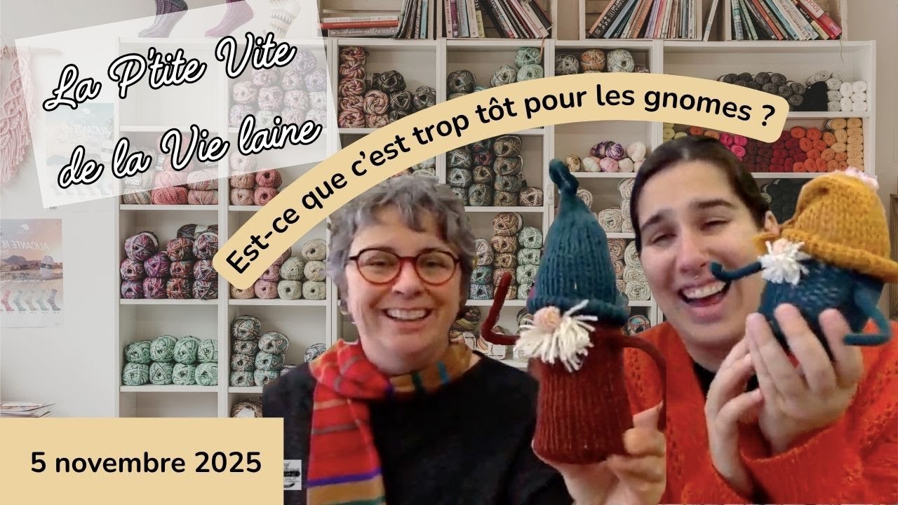 La P'tite vite de la Vie laine - 5 novembre 2025