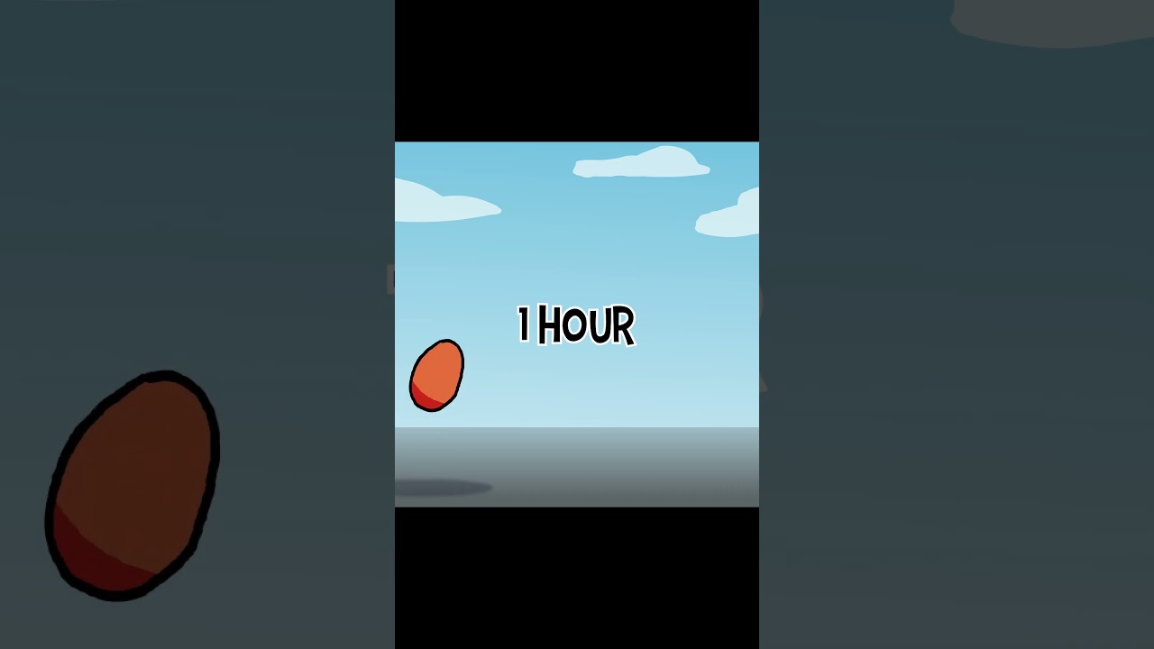 10 Hour v 10 Second Ball Animation