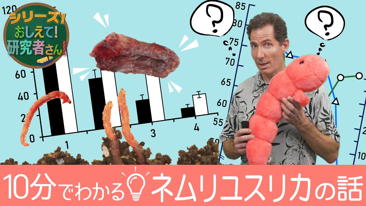 【おしえて！研究者さん！】　ネムリユスリカの秘密　～10分でわかる！驚きの能力