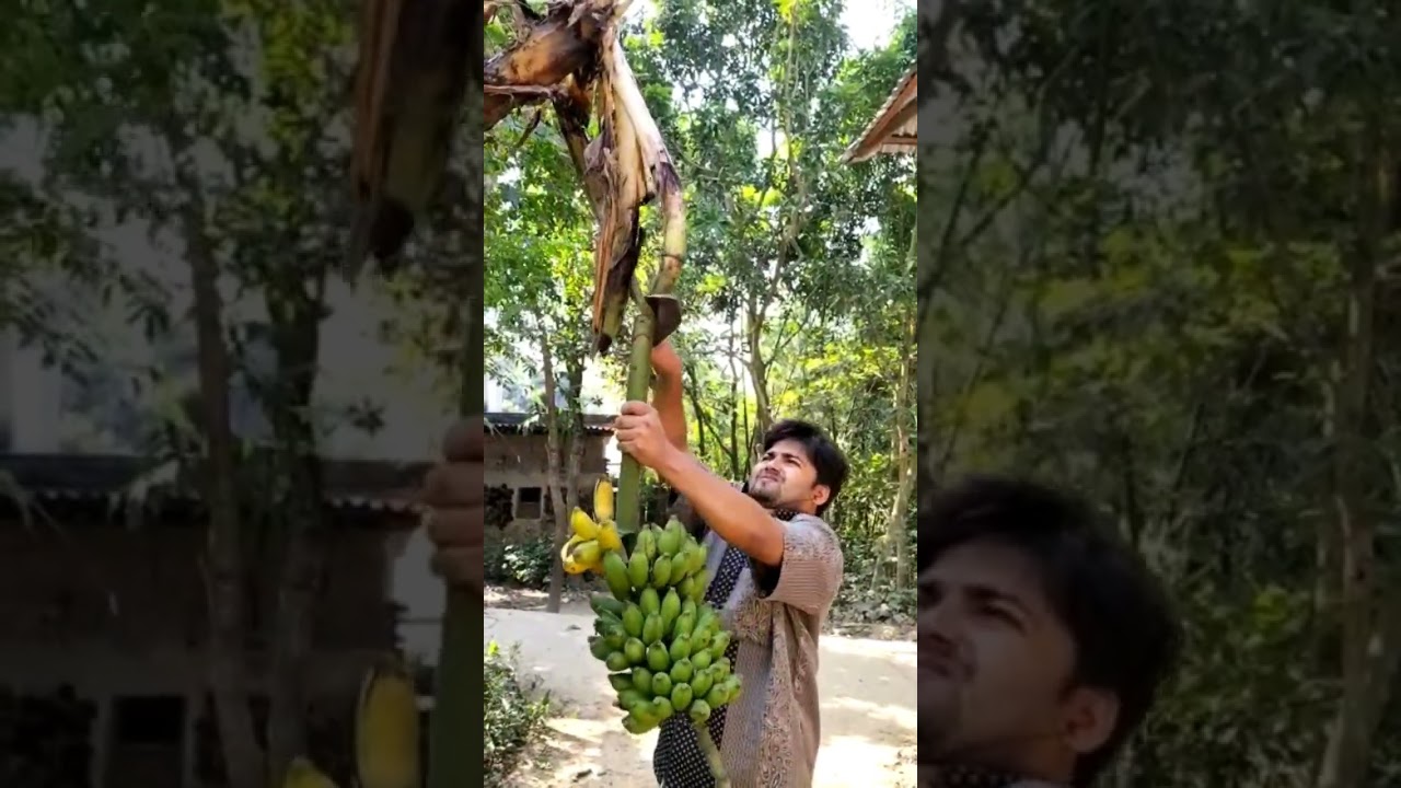 banana sorting