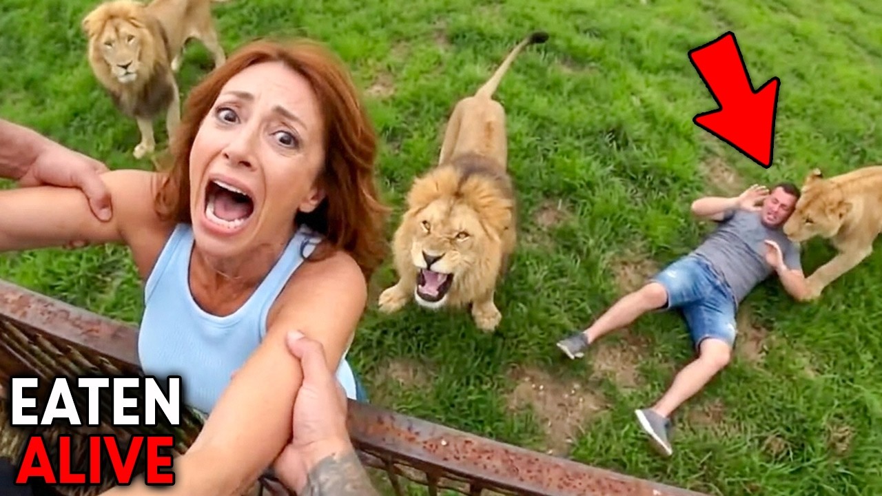 6 Most DISTURBING Animal Attacks at The Zoo