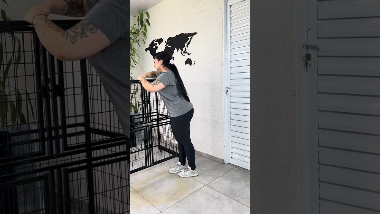 Como montar canil desmontável de 4 lugares 🐾. Confira o passo a passo completo!