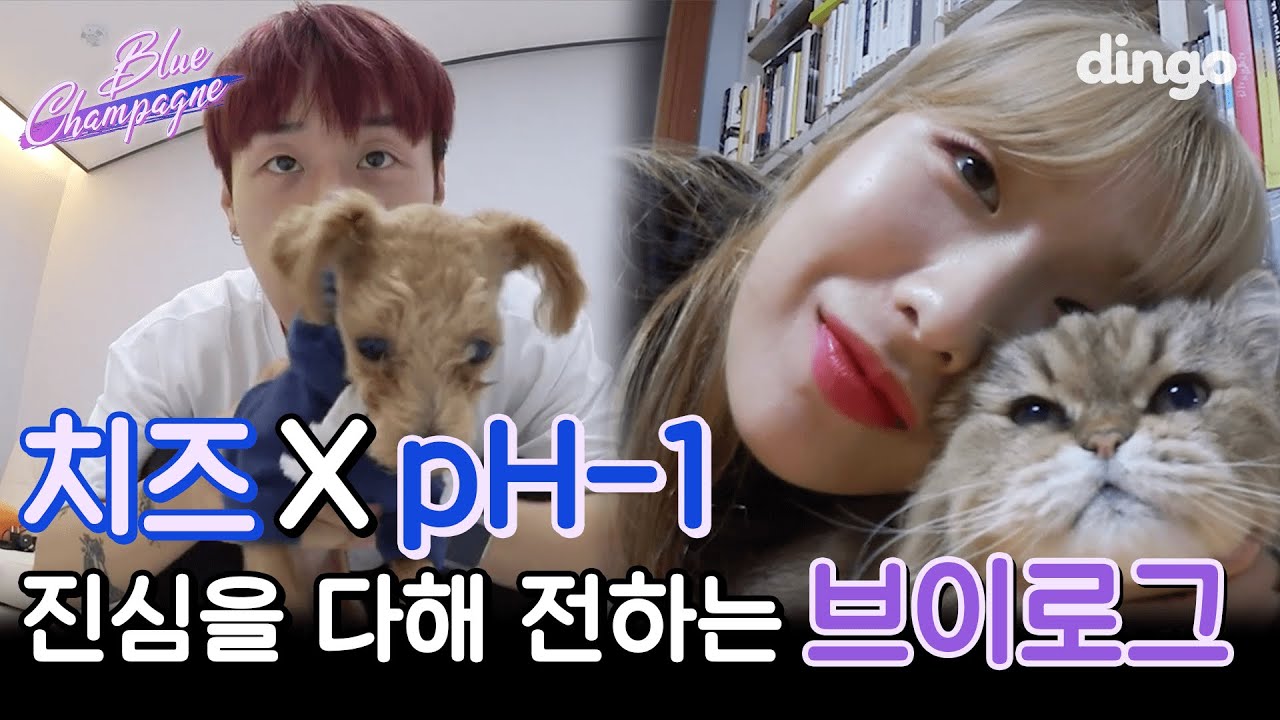 VLOG | 핵다른 뮤지션 🧀CHEEZE(치즈), pH-1🧡의 일상생활 브이로그?!?! | 반려일기, 안무연습, 플레이리스트, 쿡방 | 딩고뮤직 | dingomusic