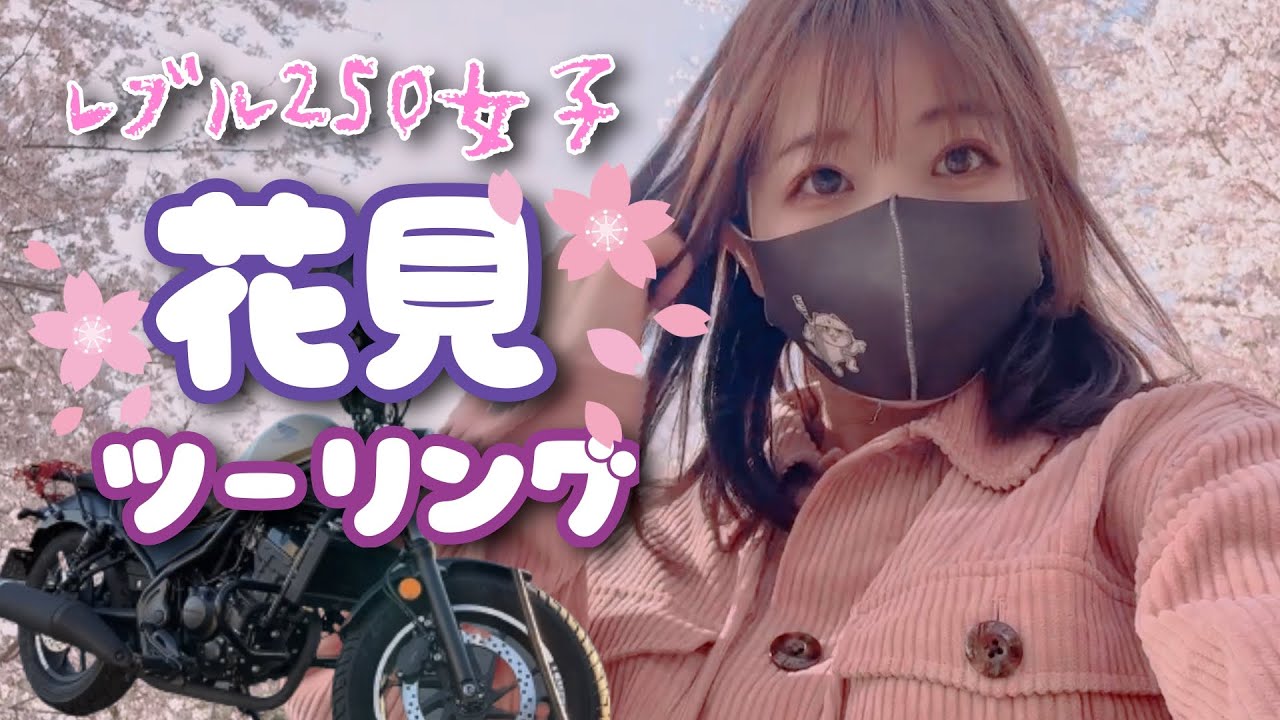 【 ＃レブル250 】バイクでメルヘンなお花見してきた🌸【女子ライダー】