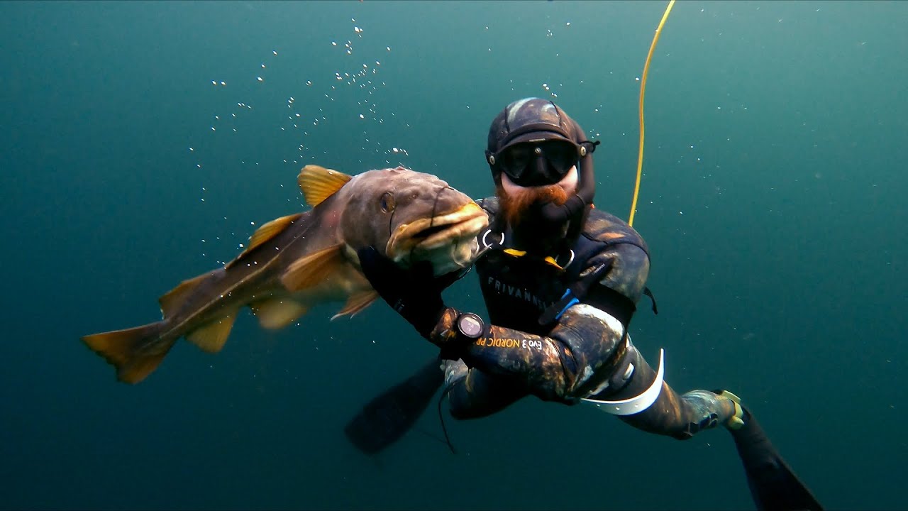 Почему стоит заняться подводной охотой зимой!