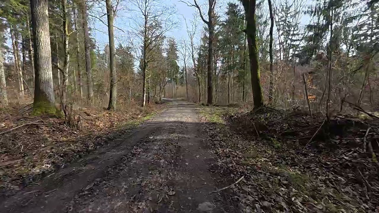 die gestrige Radtour ...der Weg ist das Ziel!
