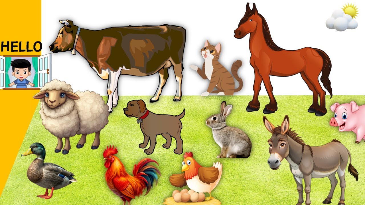 Animal Sounds - Zeri i Kafsheve Shtepiake