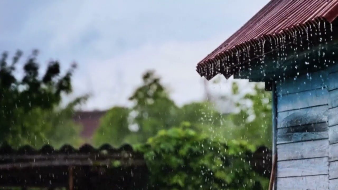 Relaxing Rain ASMR on Roof | Natural Rain Sounds for Deep Sleep & Stress Relief