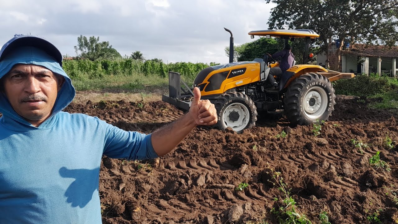 arrancando inhame da costa no trator. safra 2023 uma maravilha