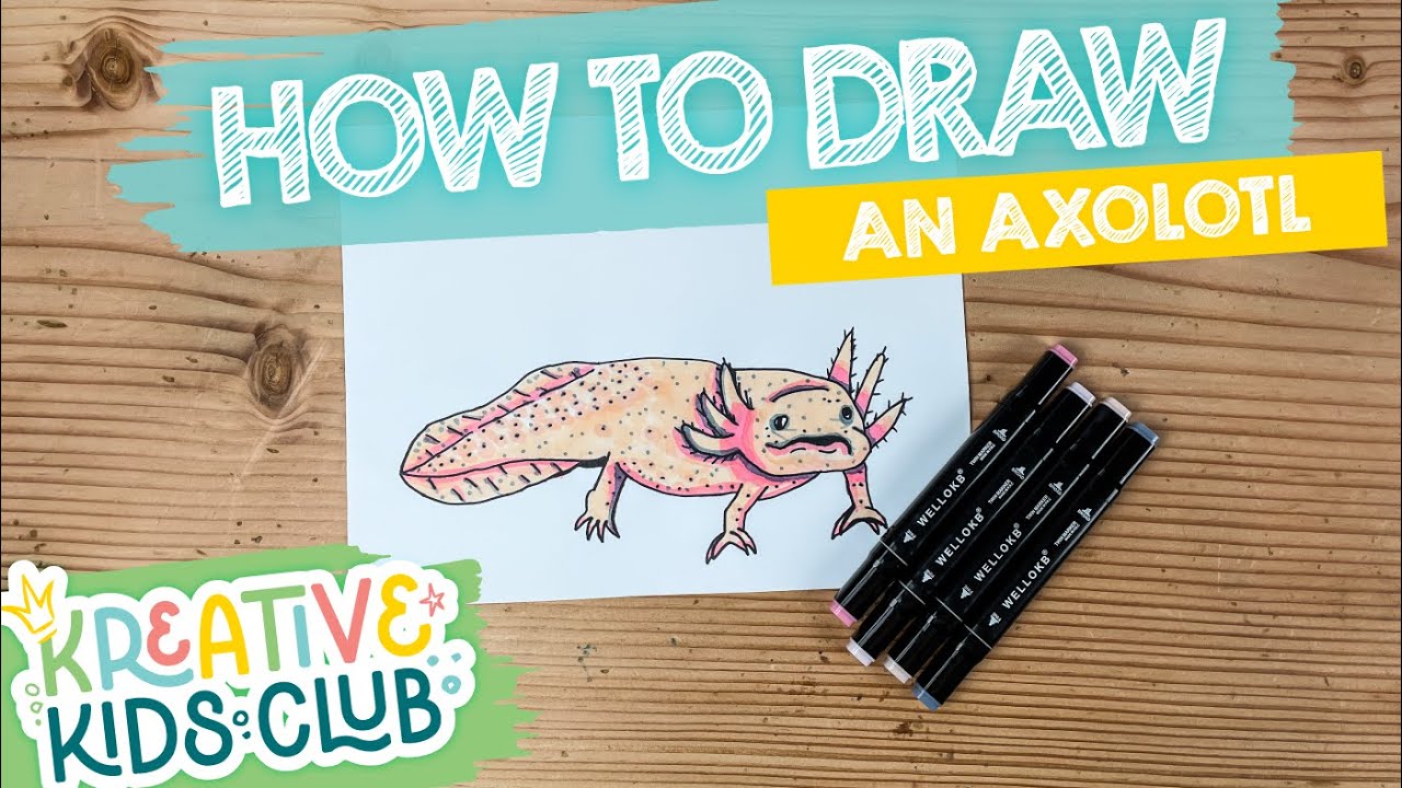 Learn How to Draw an AXOLOTL SALAMANDER | Educational Step-by-Step Drawing Tutorial for Kids!