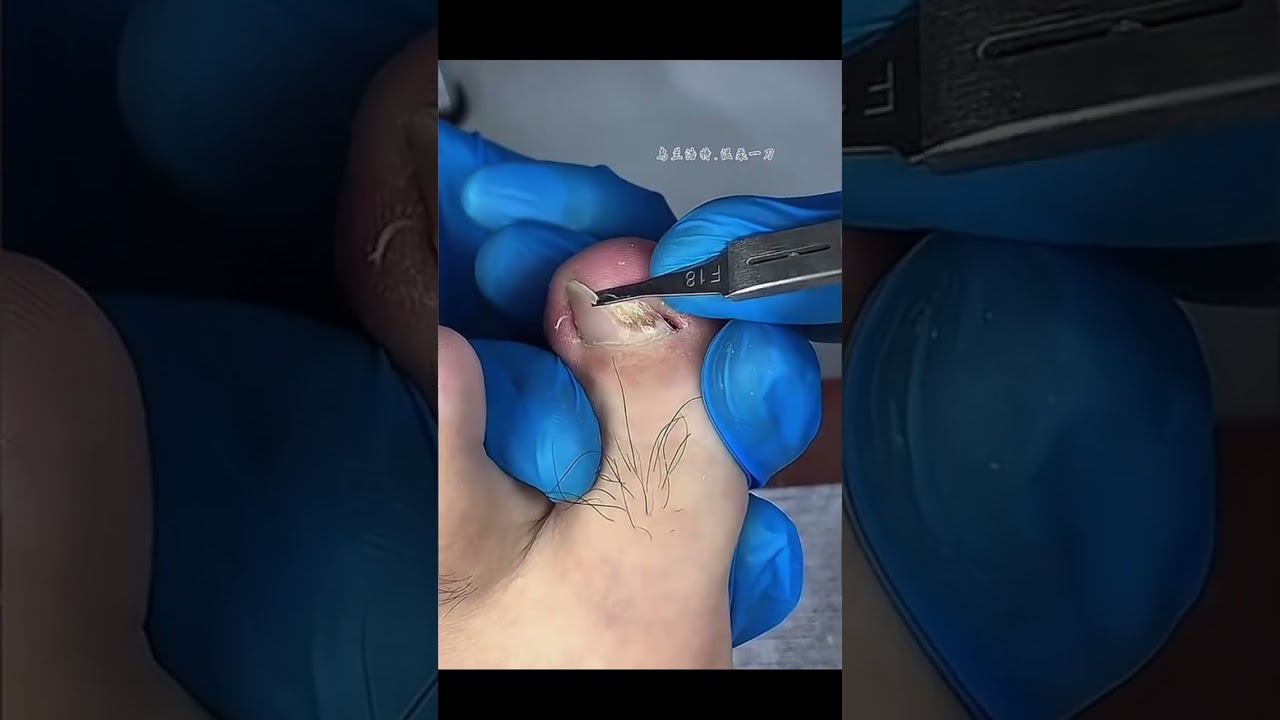 Meet the Douyin Artisans: Join Our Creator Support Program