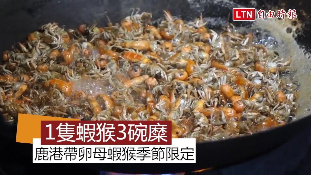 「1隻蝦猴3碗糜」 鹿港帶卵母蝦猴季節限定