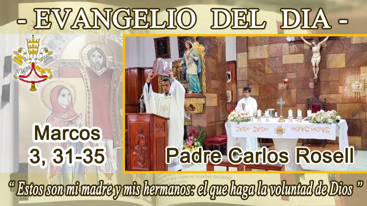 Evangelio 28/01/25 - Marcos 3, 31-35 - El verdadero parentesco de Jesús. P. Carlos Rosell.