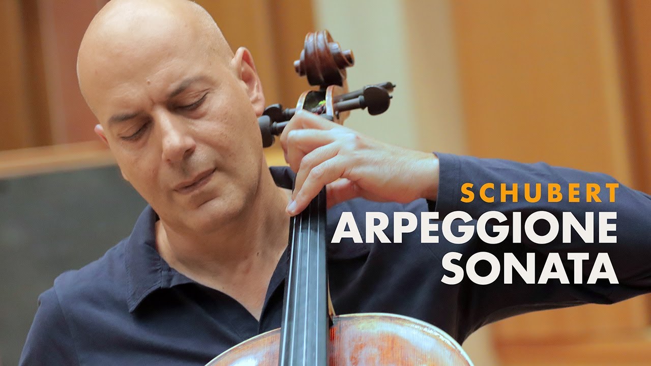 Franz Schubert Sonata for Arpeggione and Piano in A minor D.821