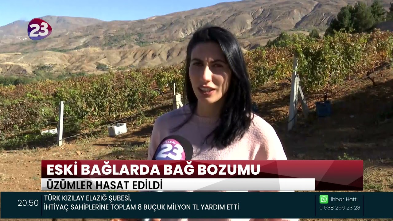 ELAZIĞ&rsquo;DA ESKİBAĞLAR&rsquo;DA BAĞBOZUMU ŞENLİĞİ D&Uuml;ZENLENDİ