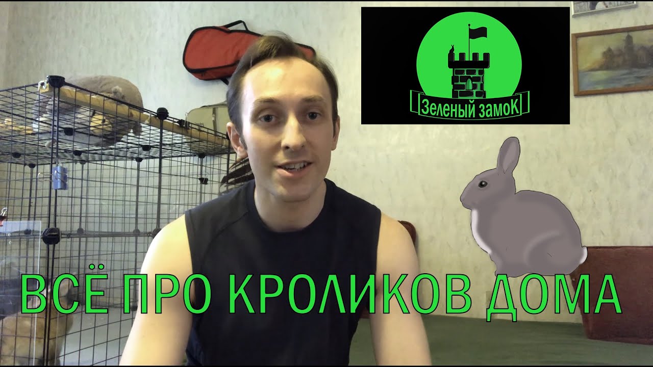 № 3.  Как ухаживать за кроликом в квартире.